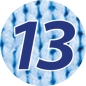 Preview: 13